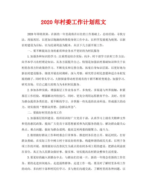 2020年村委工作计划范文