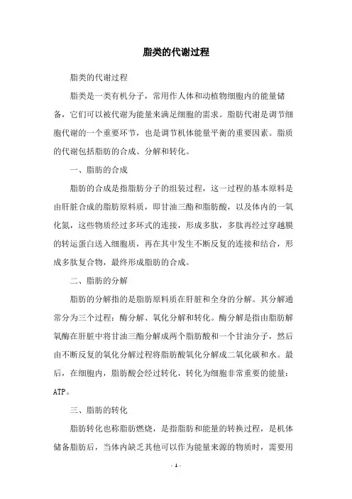 脂类的代谢过程