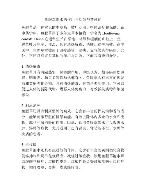 鱼腥草泡水的作用与功效与禁忌症