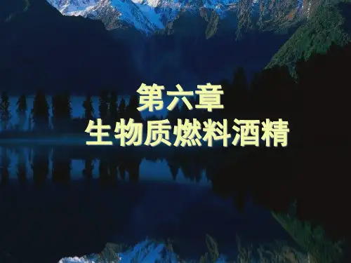 第6章生物质乙醇燃料