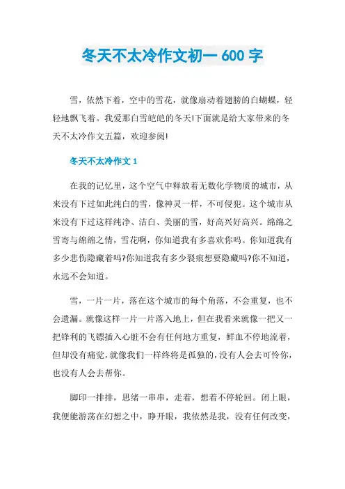 冬天不太冷作文初一600字