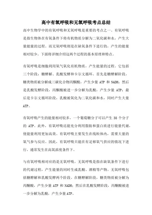 高中有氧呼吸和无氧呼吸考点总结