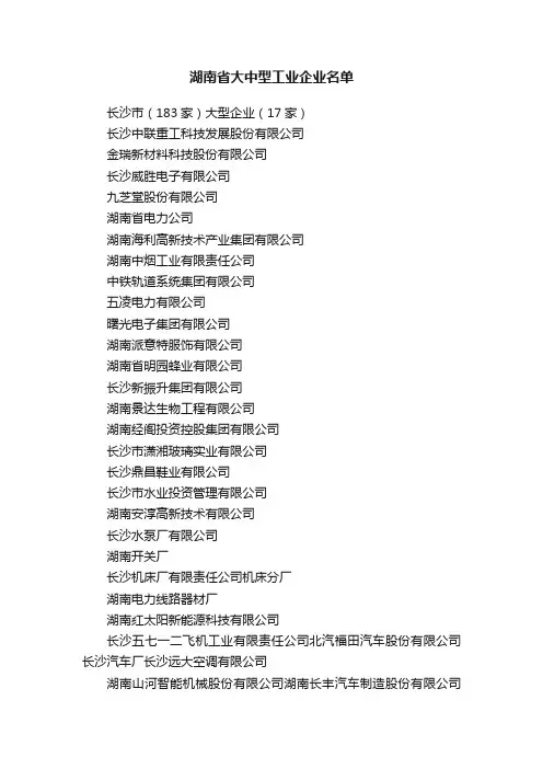 湖南省大中型工业企业名单