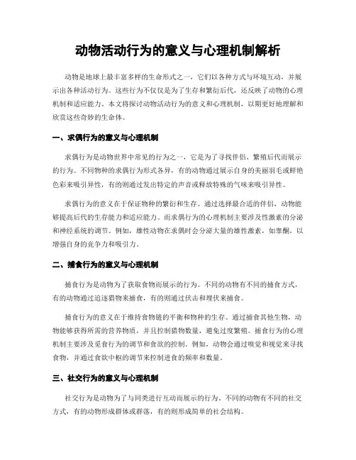 动物活动行为的意义与心理机制解析