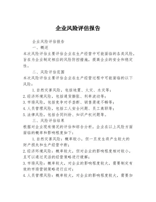 企业风险评估报告