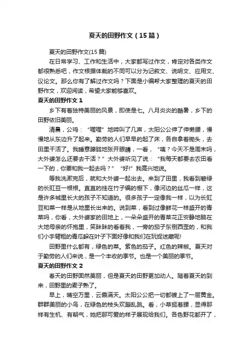 夏天的田野作文（15篇）