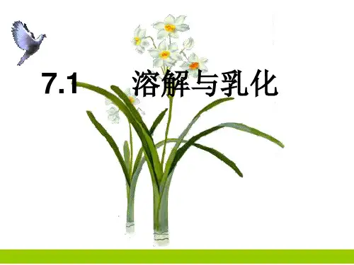 溶解与乳化-ppt课件