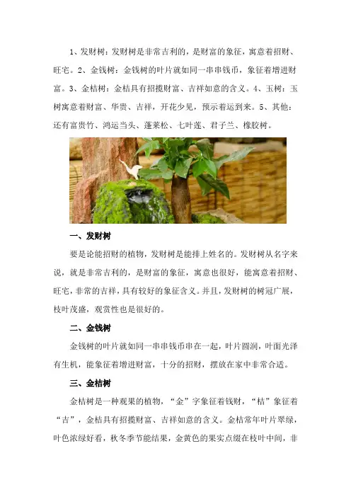 十大招财树,招财树有几种