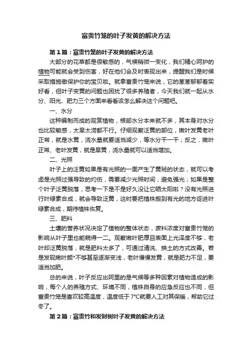 富贵竹笼的叶子发黄的解决方法