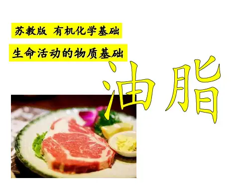苏教版 有机化学基础——油脂