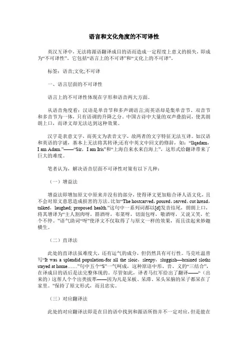 语言和文化角度的不可译性