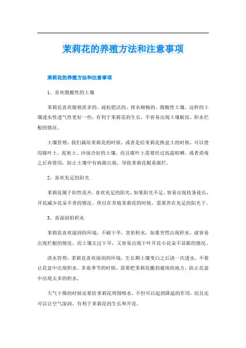 茉莉花的养殖方法和注意事项
