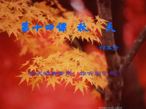 《秋天》 公开课获奖课件