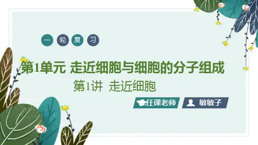 高三一轮复习生物第一讲走近细胞课件