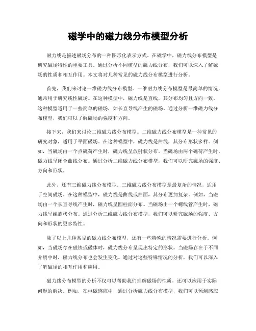 磁学中的磁力线分布模型分析