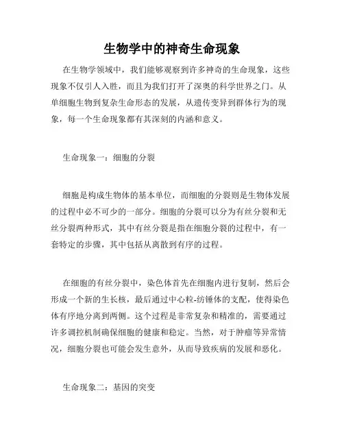 生物学中的神奇生命现象