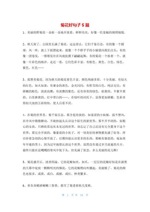 菊花好句子5篇