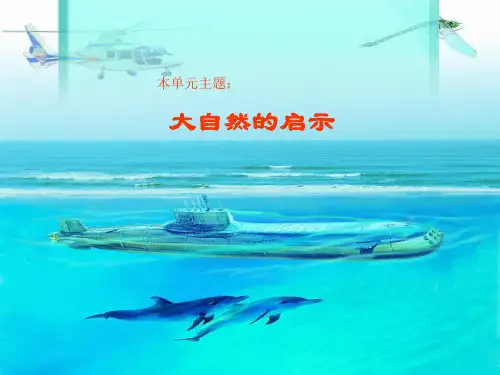 《蝙蝠和雷达》ppt课件【20页】