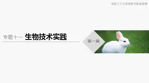 2020年2月高2020届高2017级高中生物步步高高考考前三个月配套冲刺课件专题十一