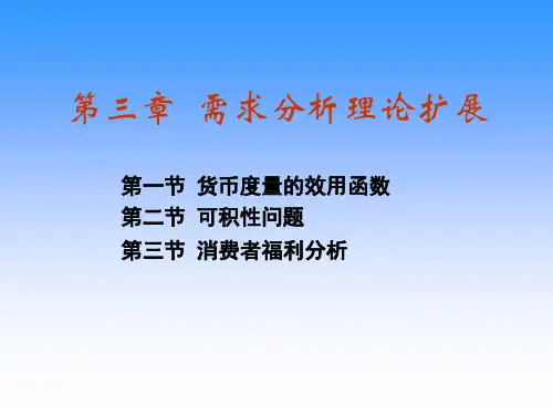 高级宏微观经济学---第3章