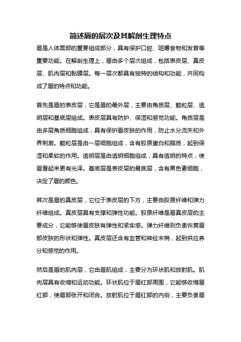 简述唇的层次及其解剖生理特点