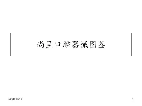口腔器械认知 ppt课件