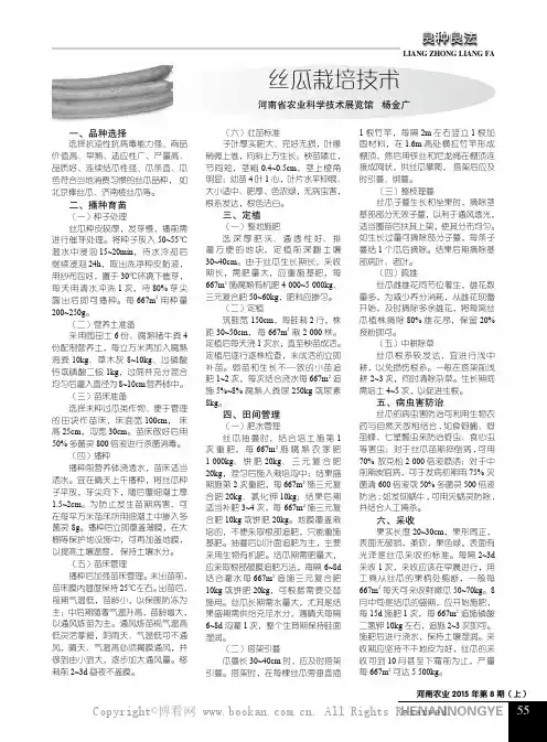丝瓜栽培技术