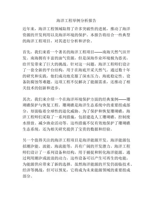 海洋工程举例分析报告