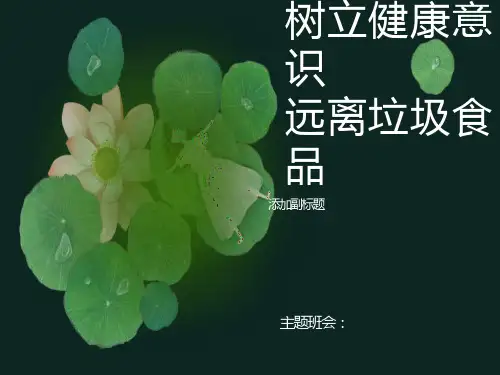 拒绝零食杜绝垃圾主题班会PPT课件