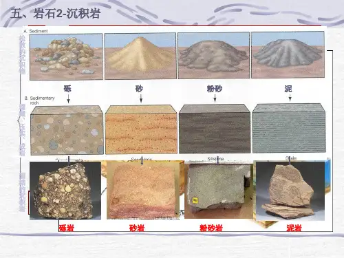 变质岩ppt