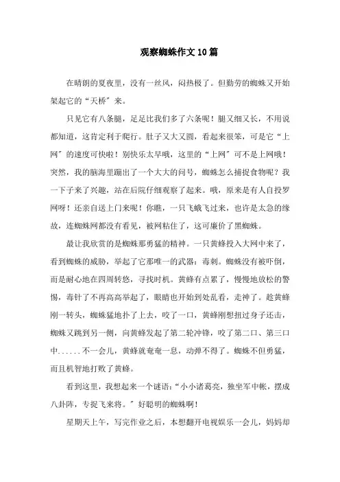 观察蜘蛛作文10篇精选