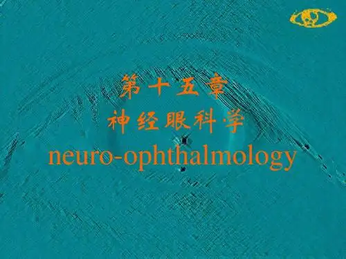 视神经及视路疾病
