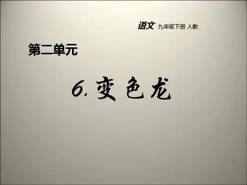 部编版九年级下册语文《变色龙》PPT电子课件说课
