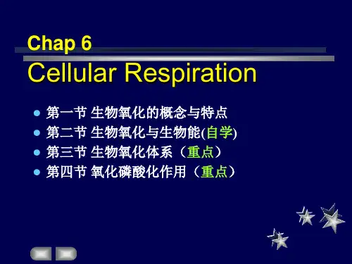 生物氧化的概念与特点.