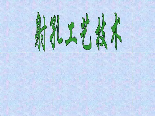 射孔工艺技术