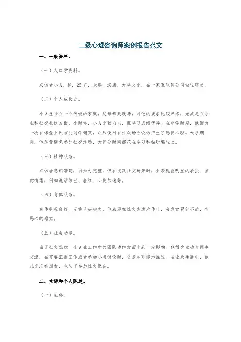 二级心理咨询师案例报告范文