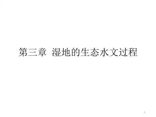 湿地的生态水文过程课件
