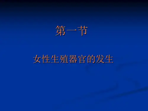 第一节女性生殖器官发生 ppt课件