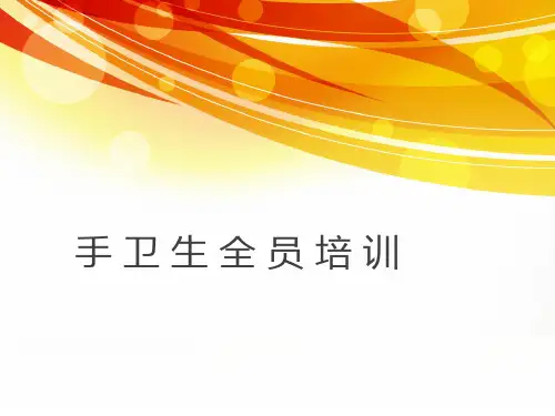手卫生规范培训