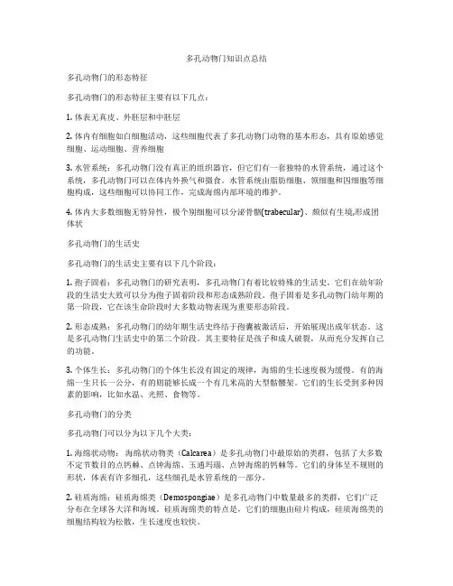 多孔动物门知识点总结