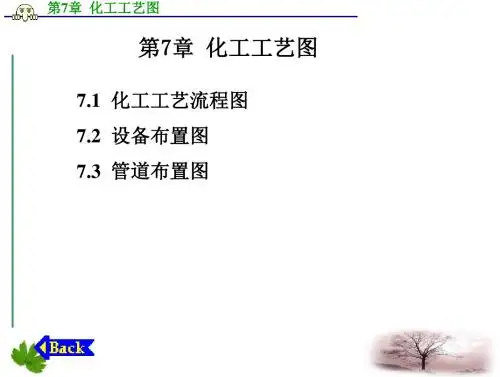 化工制图与CAD课件第7章_化工工艺图