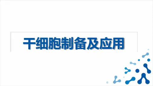 干细胞的制备及应用