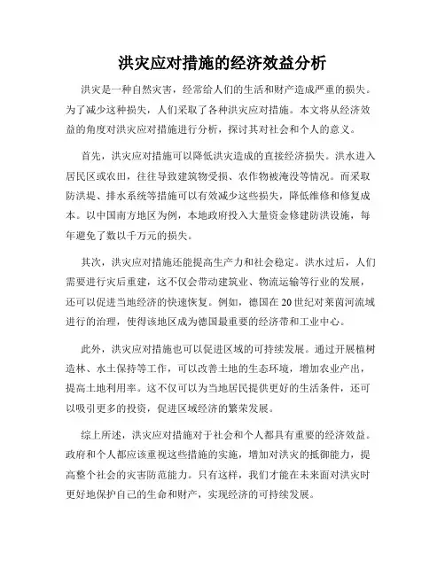 洪灾应对措施的经济效益分析