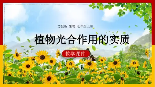 初中生物苏教版七年级上册《6.3植物光合作用的实质》教学课件