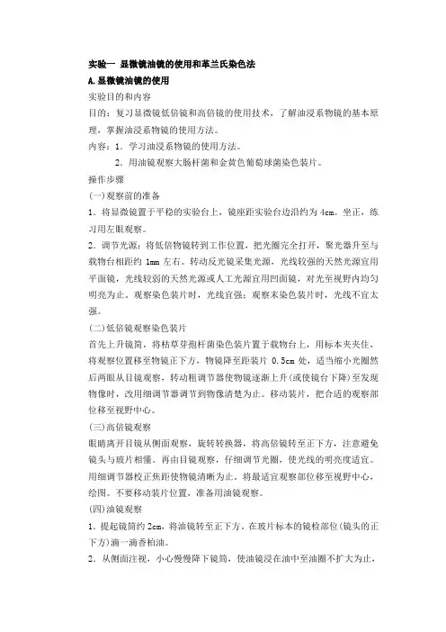 实验一_显微镜油镜的使用和革兰氏染色法
