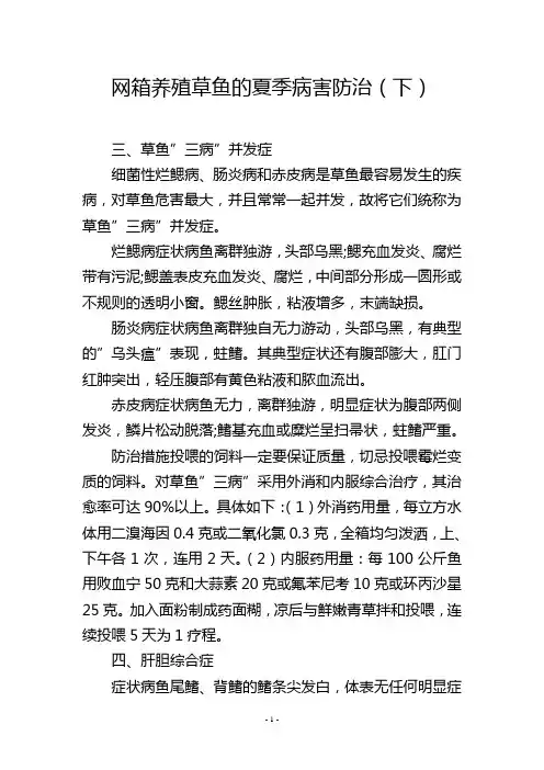 网箱养殖草鱼的夏季病害防治(下)