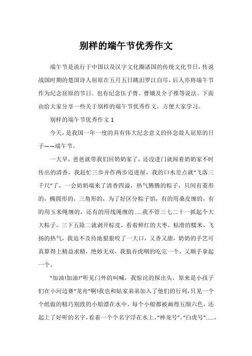 别样的端午节优秀作文