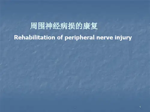 (精选课件)周围神经病损的康复PPT幻灯片