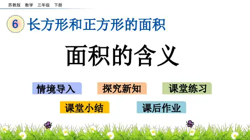 苏教版三年级下册数学课件-6.1 面积的含义 (共22张PPT)