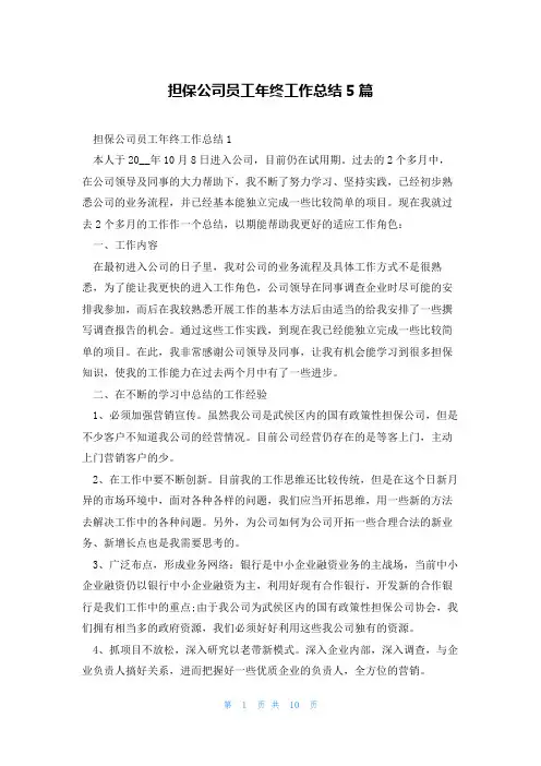 担保公司员工年终工作总结5篇